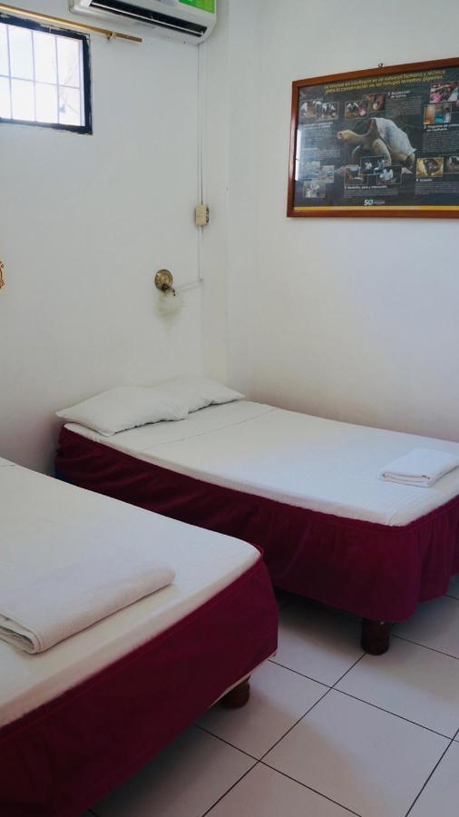 Hostal Marysol Пуэрто-Айора Экстерьер фото